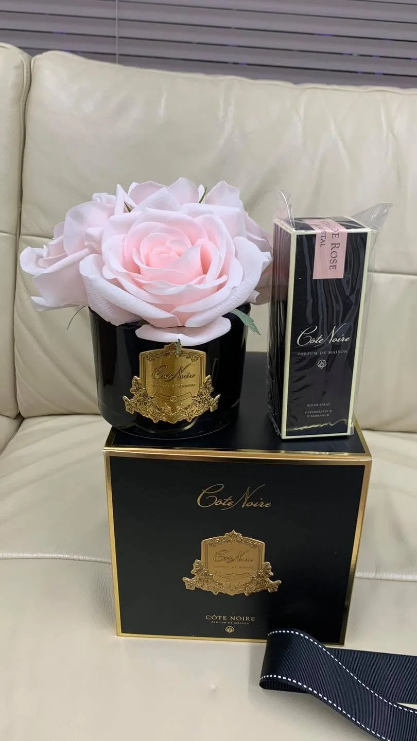 Côte Noire pale-pink perfumed rose in a black vase atop a black gift box with room spray on a cream sofa